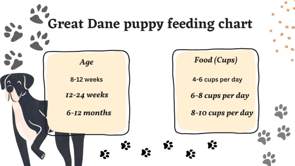 A visual representation of a Sample Great Dane Feeding Chart by Weight. The chart provides a guide for the recommended amount of food to feed Great Dane puppies based on their weight at different stages of development. It assists in ensuring proper nutrition for optimal growth and health
