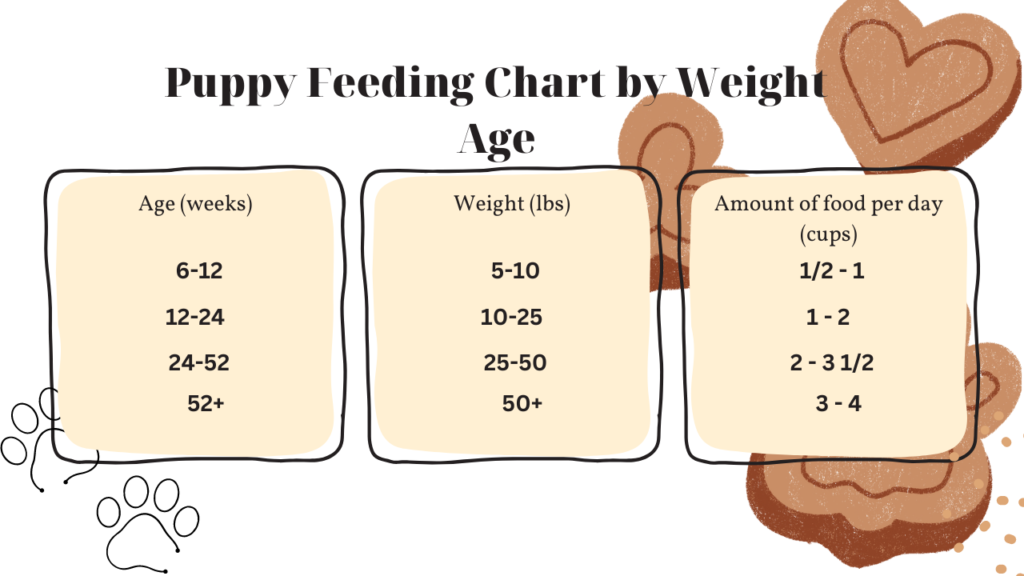 Puppy feeding chart by weight age 