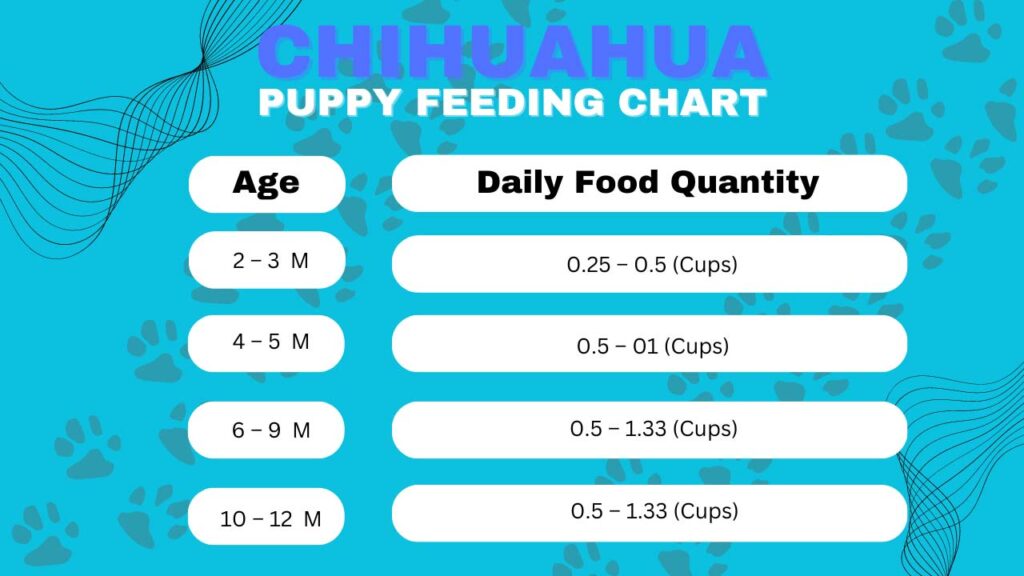 Chihuahua puppy feeding chart by weight and age, with accompanying food cup chart.