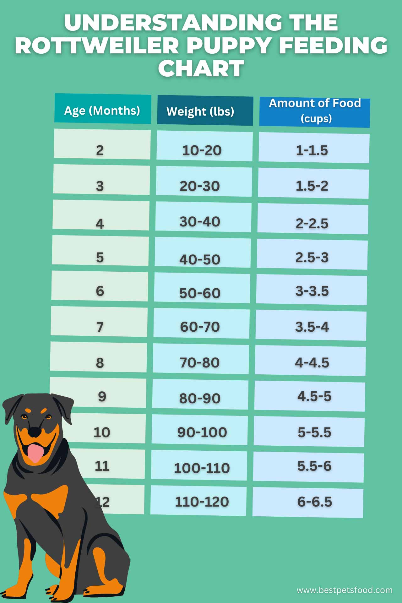 Ultimate Rottweiler Puppy Feeding Chart by Weight Age